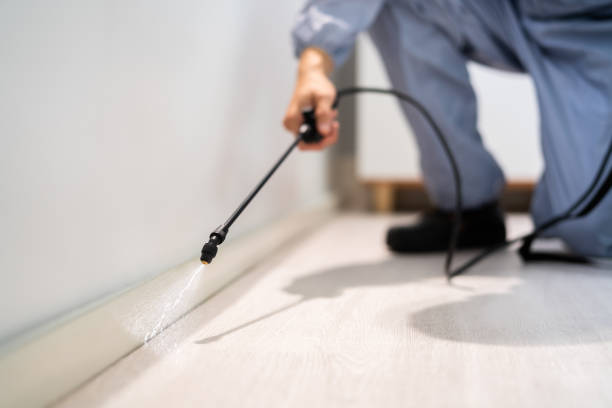 Bed Bug Pre-Treatment Preparation Assessment in Firestone
