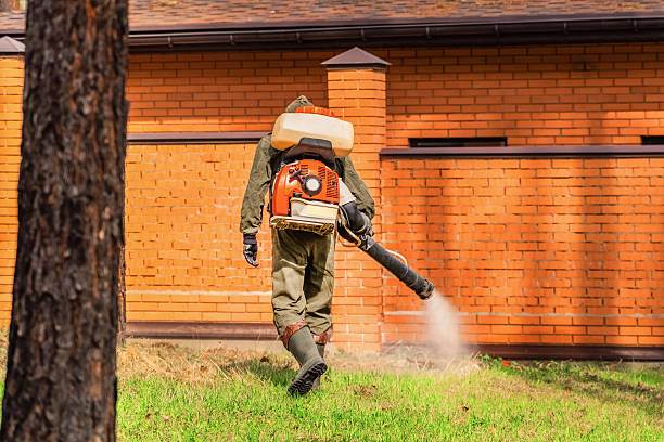 Bed Bug Clearance Verification and Documentation in Firestone
